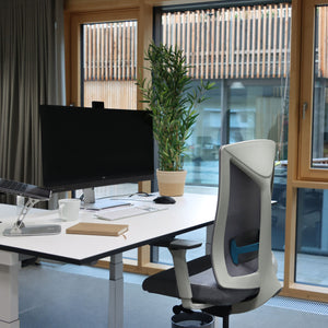 Darbnīcu krēsls HALIFAX WORK - Ergostock.lv