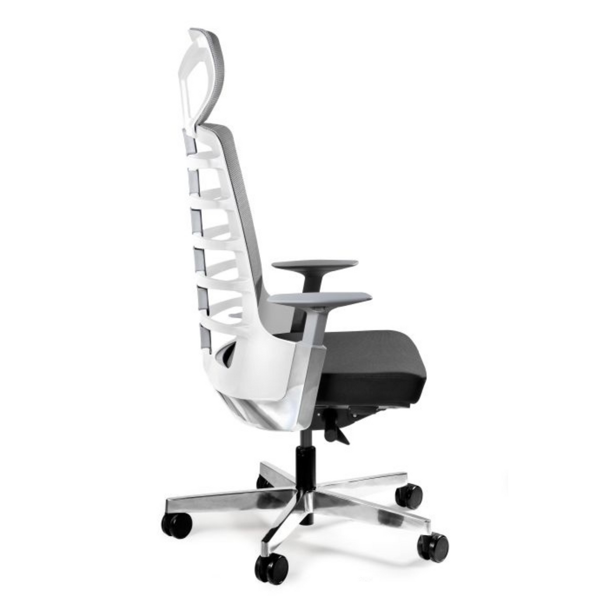 Biroja krēsls SPINELLY - Ergostock.lv