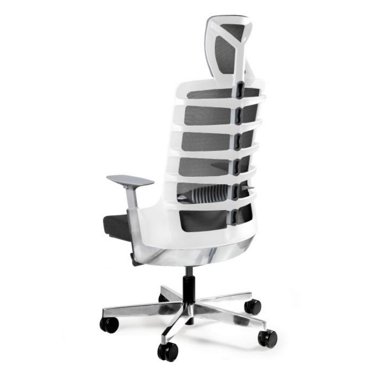 Biroja krēsls SPINELLY - Ergostock.lv