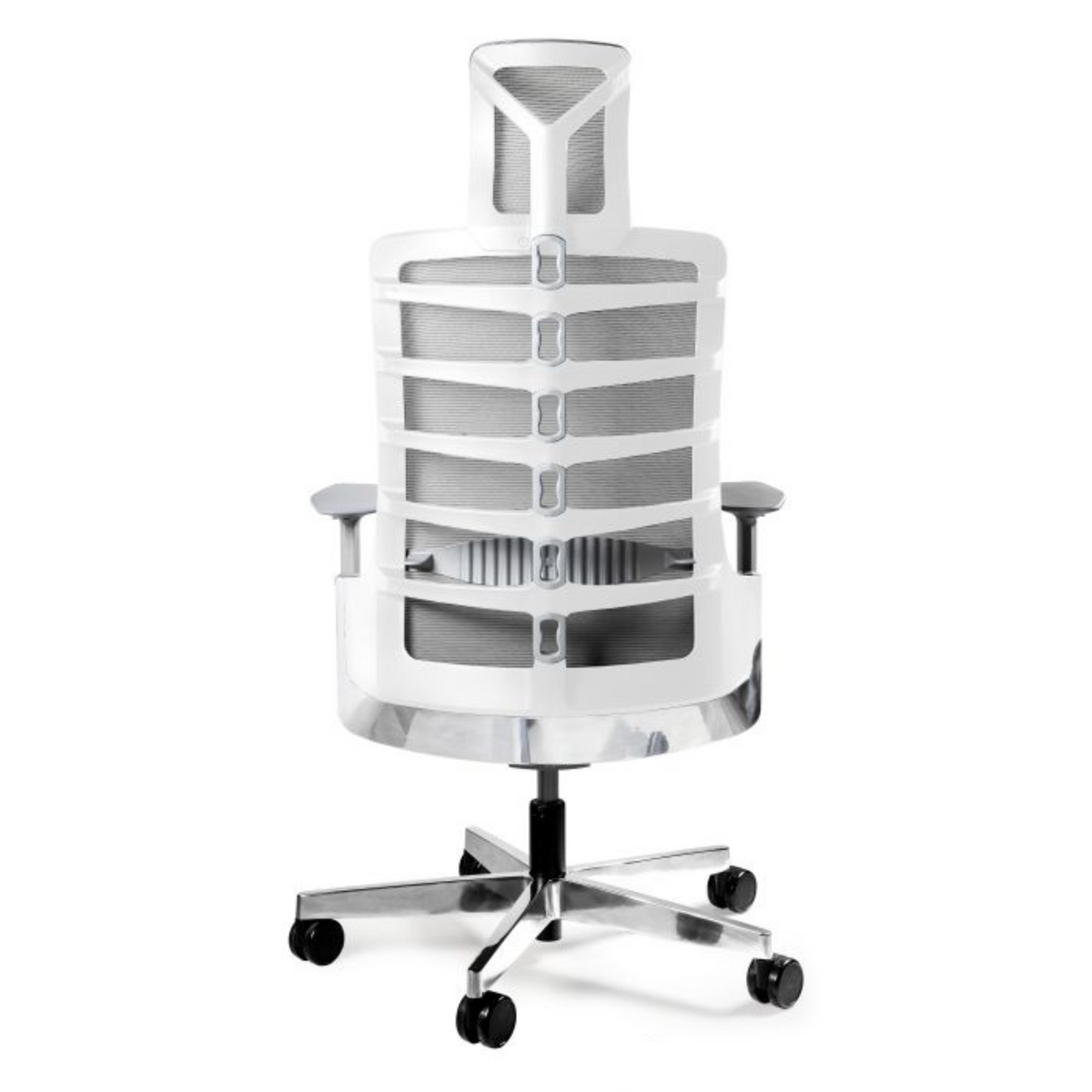 Biroja krēsls SPINELLY - Ergostock.lv