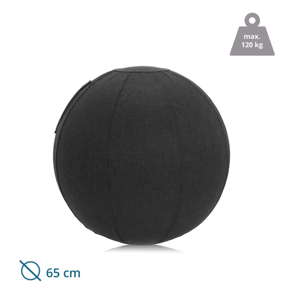 Ergopall ACTIVUM PRO, läbimõõt 65 cm