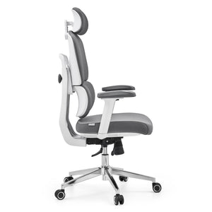 Kontoritool ERGOMY WF2, hall