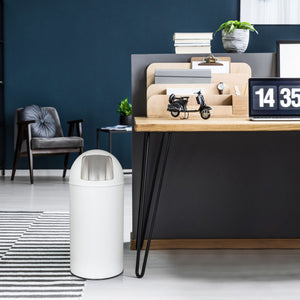 Prügikast PUSH White 35 L