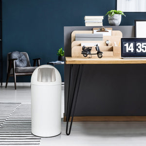 Prügikast PUSH White 50 L