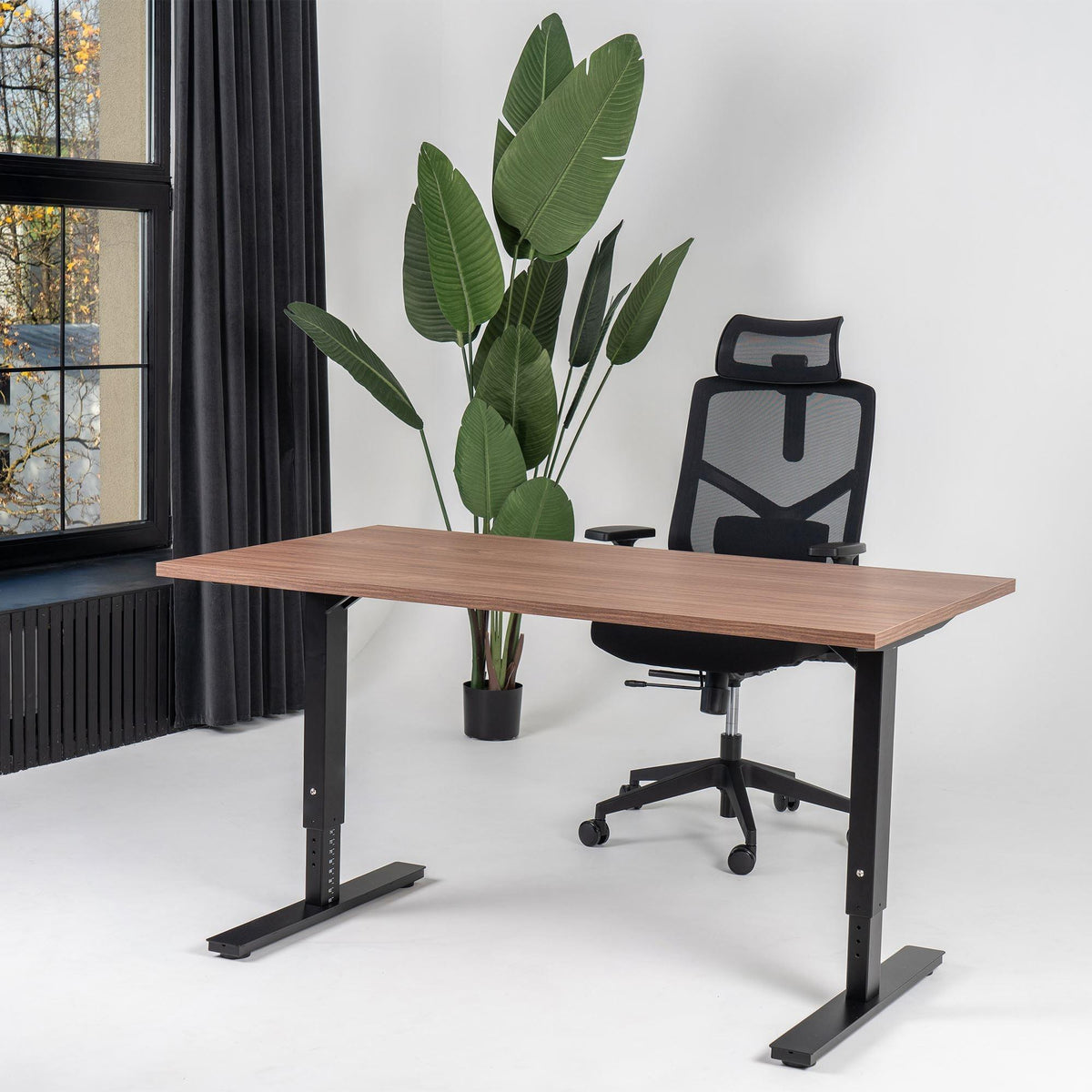 Reguleeritava kõrgusega kontorilaud Forza Line – Pähkel / Must / 120 x 65
