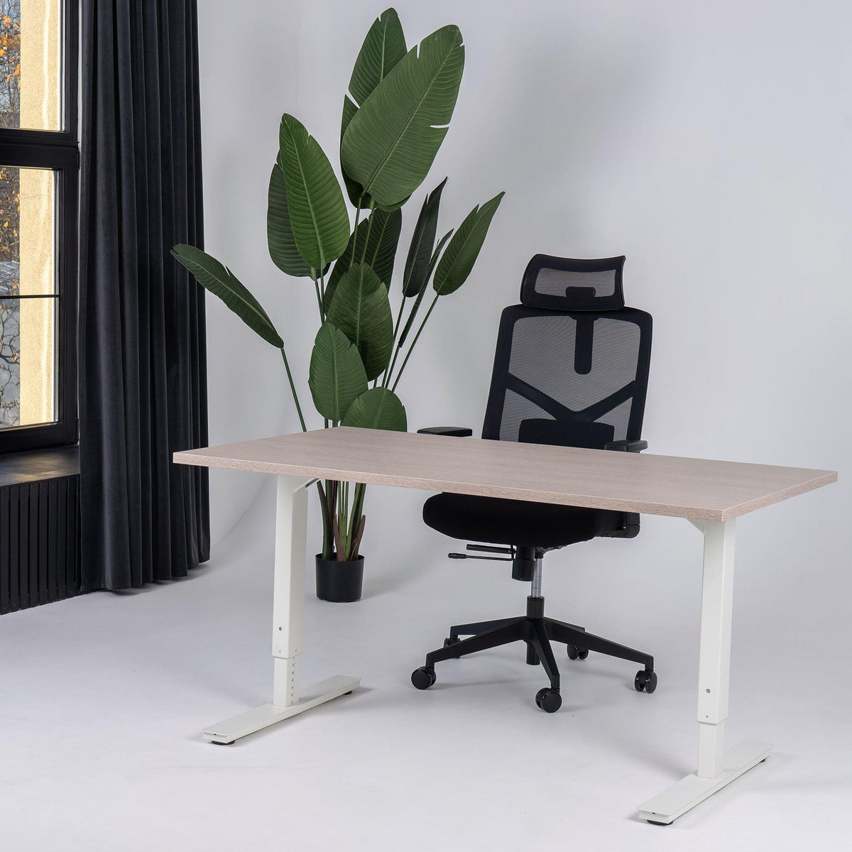 Reguleeritava kõrgusega kontorilaud Forza Line – Nabucco / Valge / 120 x 65