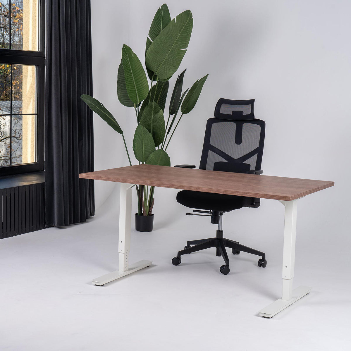 Reguleeritava kõrgusega kontorilaud Forza Line – Pähkel / Valge / 120 x 65