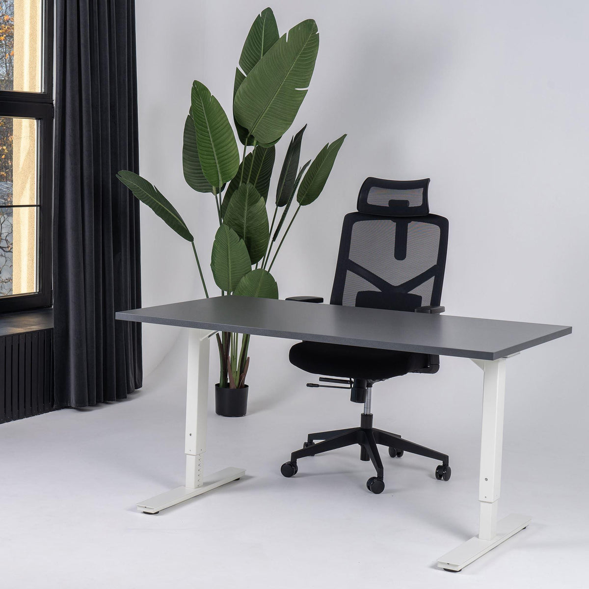 Reguleeritava kõrgusega kontorilaud Forza Line – Antratsiit / Valge / 120 x 65