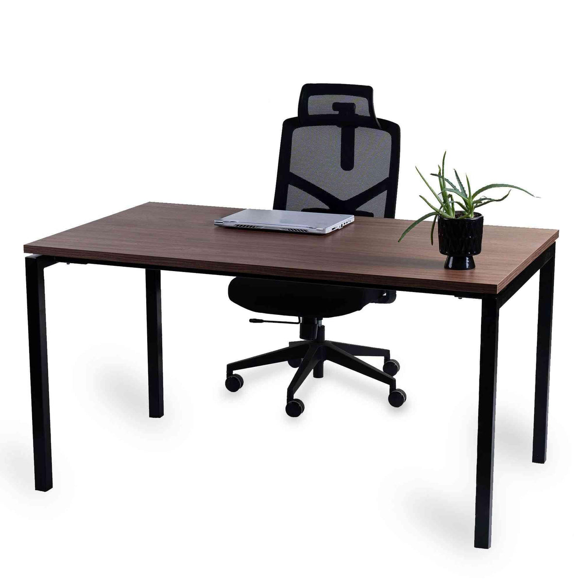 Kontorilaud Office Line – Pähkel / Must / 120 x 80 cm
