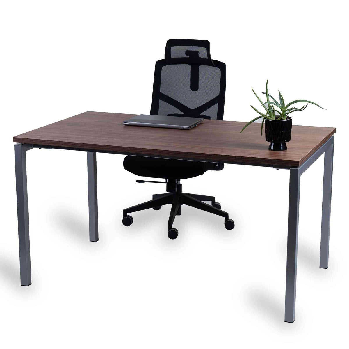 Kontorilaud Office Line – Pähkel / Hõbedane / 120 x 80 cm