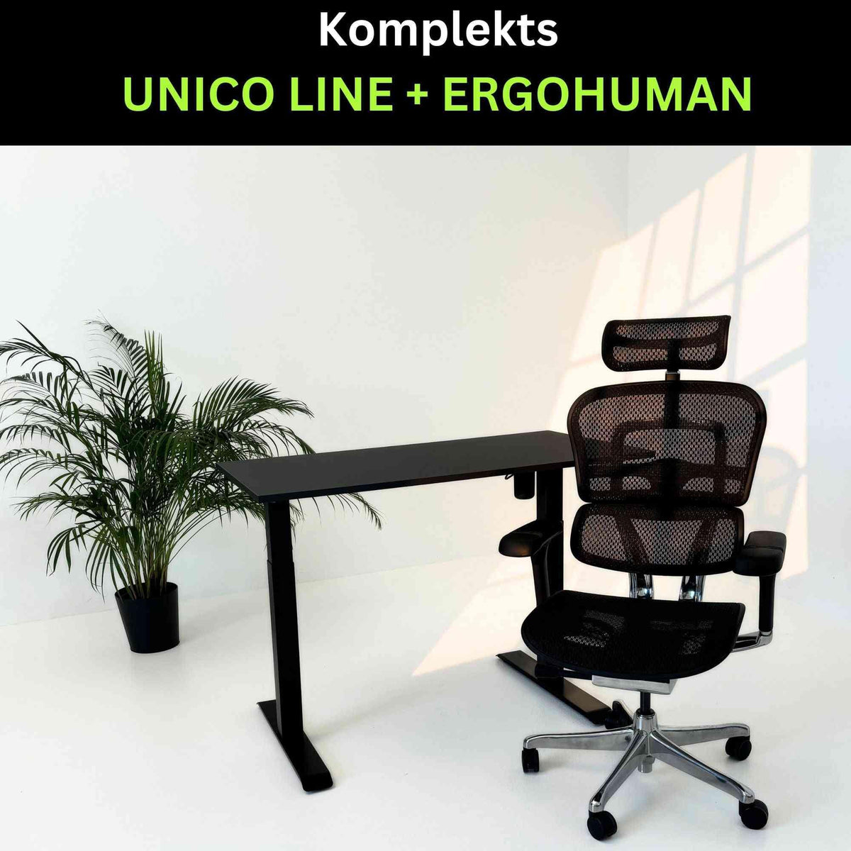 Töökohakomplekt UNICO BLACK Ergohuman ELITE