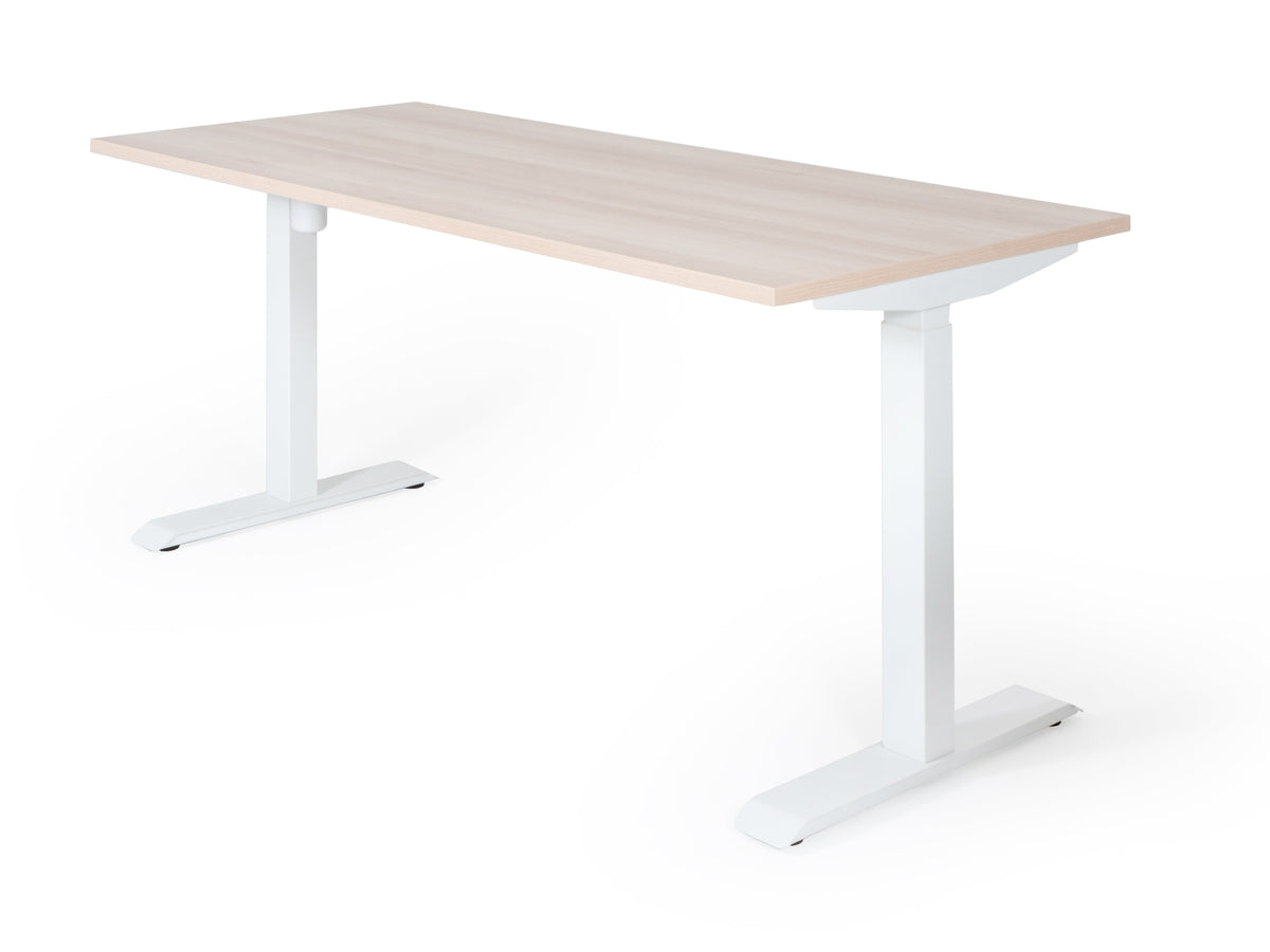 Elektriliselt reguleeritava kõrgusega laud Unico Line – Nabucco / Valge / 120 x 65