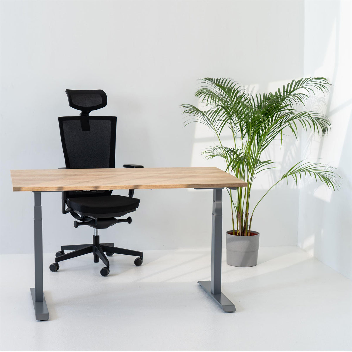 Elektriliselt reguleeritava kõrgusega laud Unico Line – American oak / Hõbedane / 120 x 65