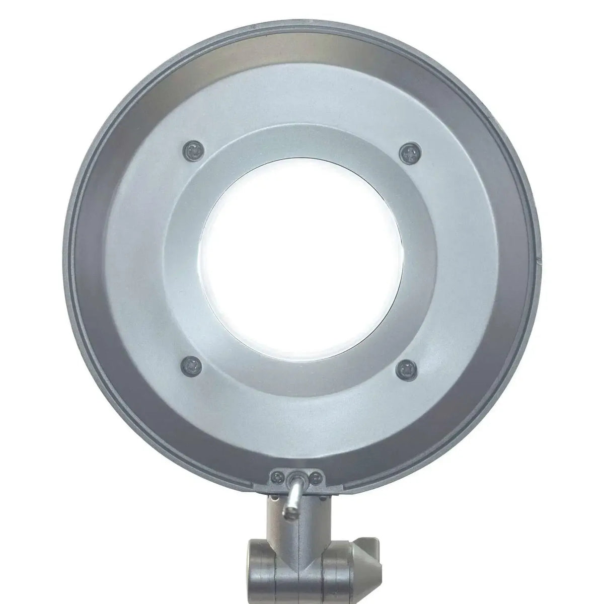 Laualamp MAULbusiness, LED