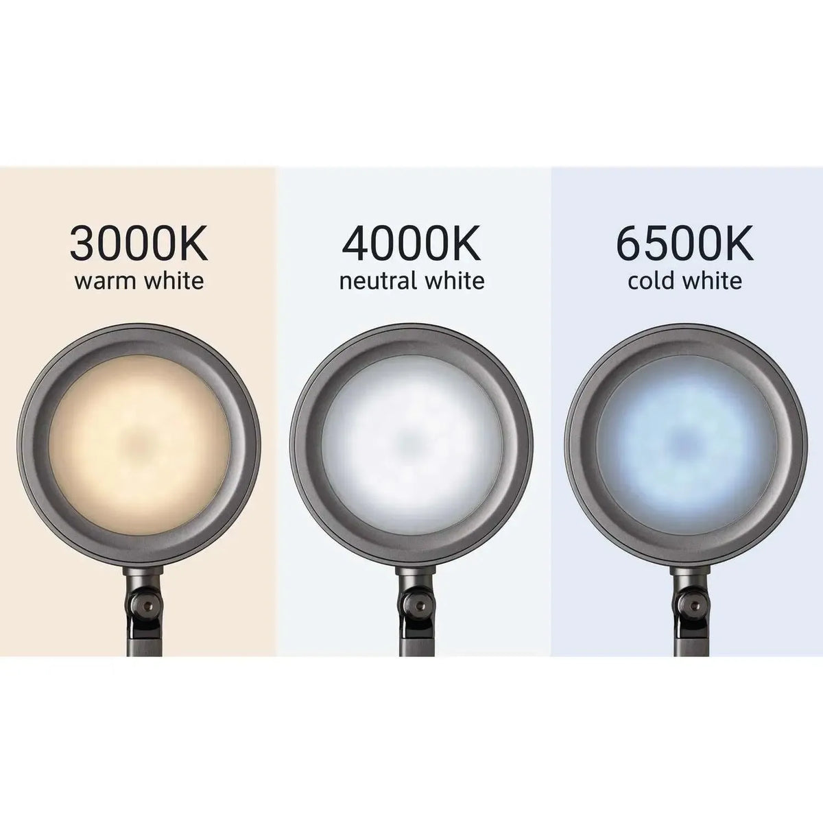 Laualamp MAULgrace, LED