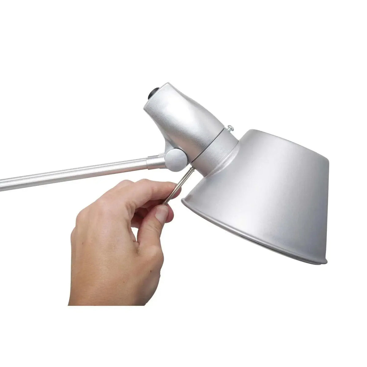 Laualamp MAULrock, LED