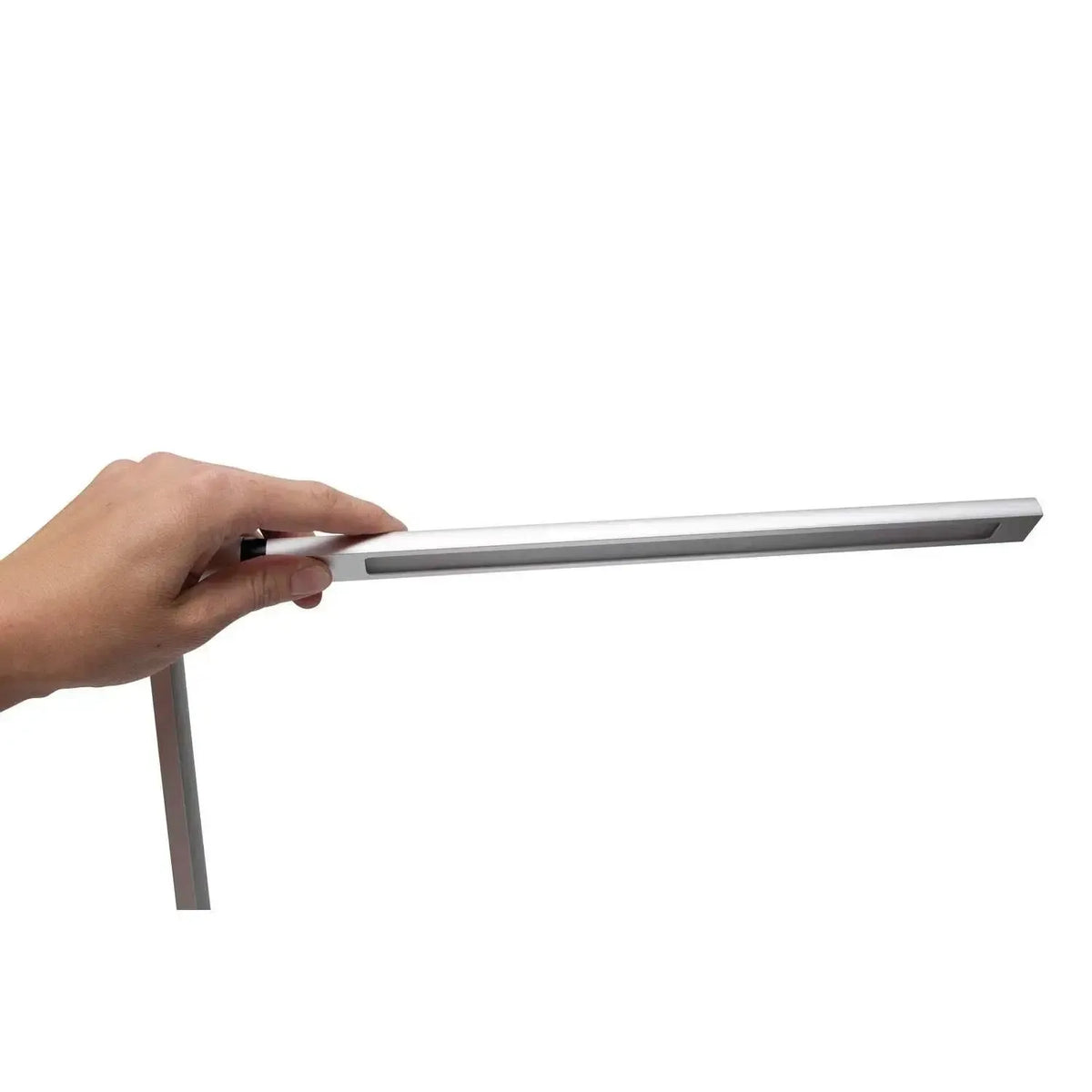 Laualamp MAULrubia, LED