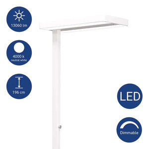LED-põrandalamp MAULjuvis