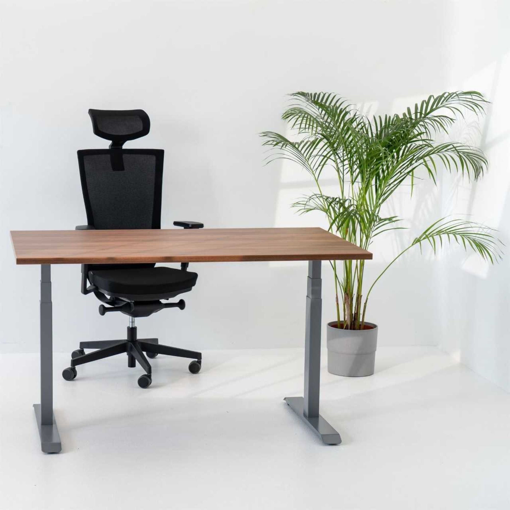 Reguleeritav laud NUWO GEN2