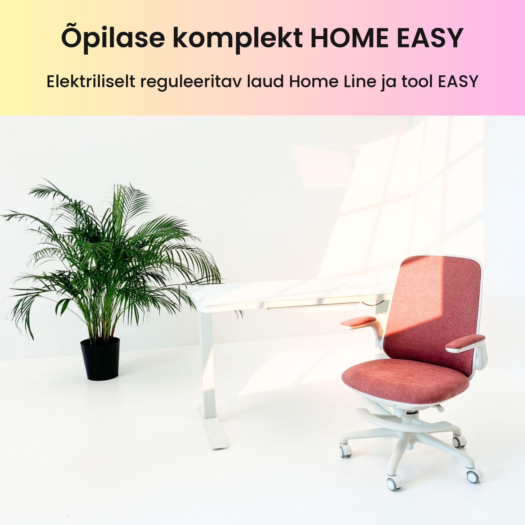 Õpilase komplekt HOME EASY