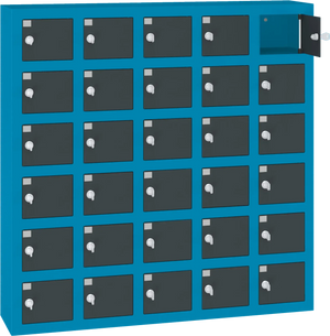 Mobiiltelefonide hoiukapp WSS