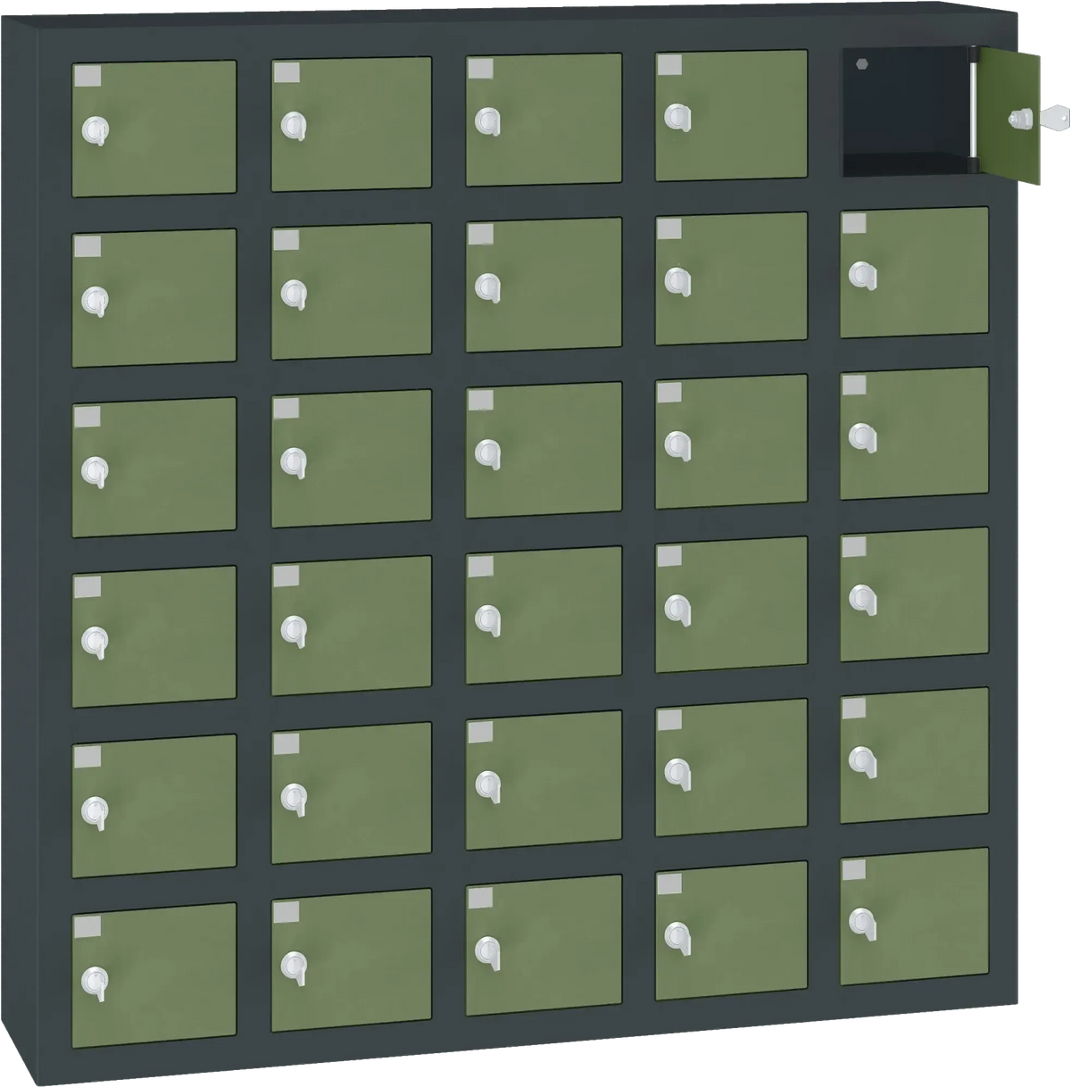 Mobiiltelefonide hoiukapp WSS