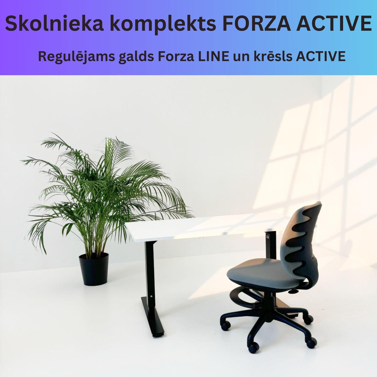 Õpilase komplekt FORZA Active